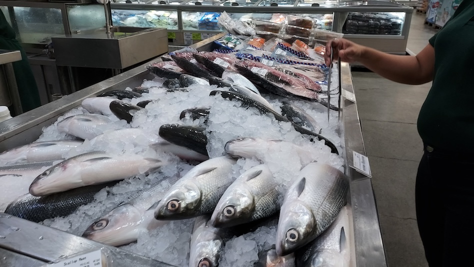 Fish for sale at the wet market